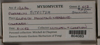 Image Associated With the Occurence